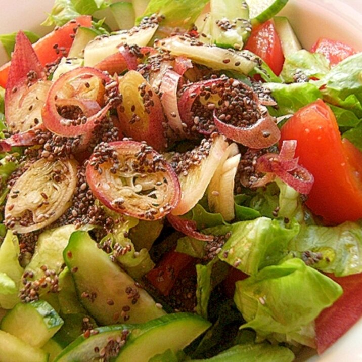 チアシード入りドレッシング❤茗荷乗せ野菜サラダ♪